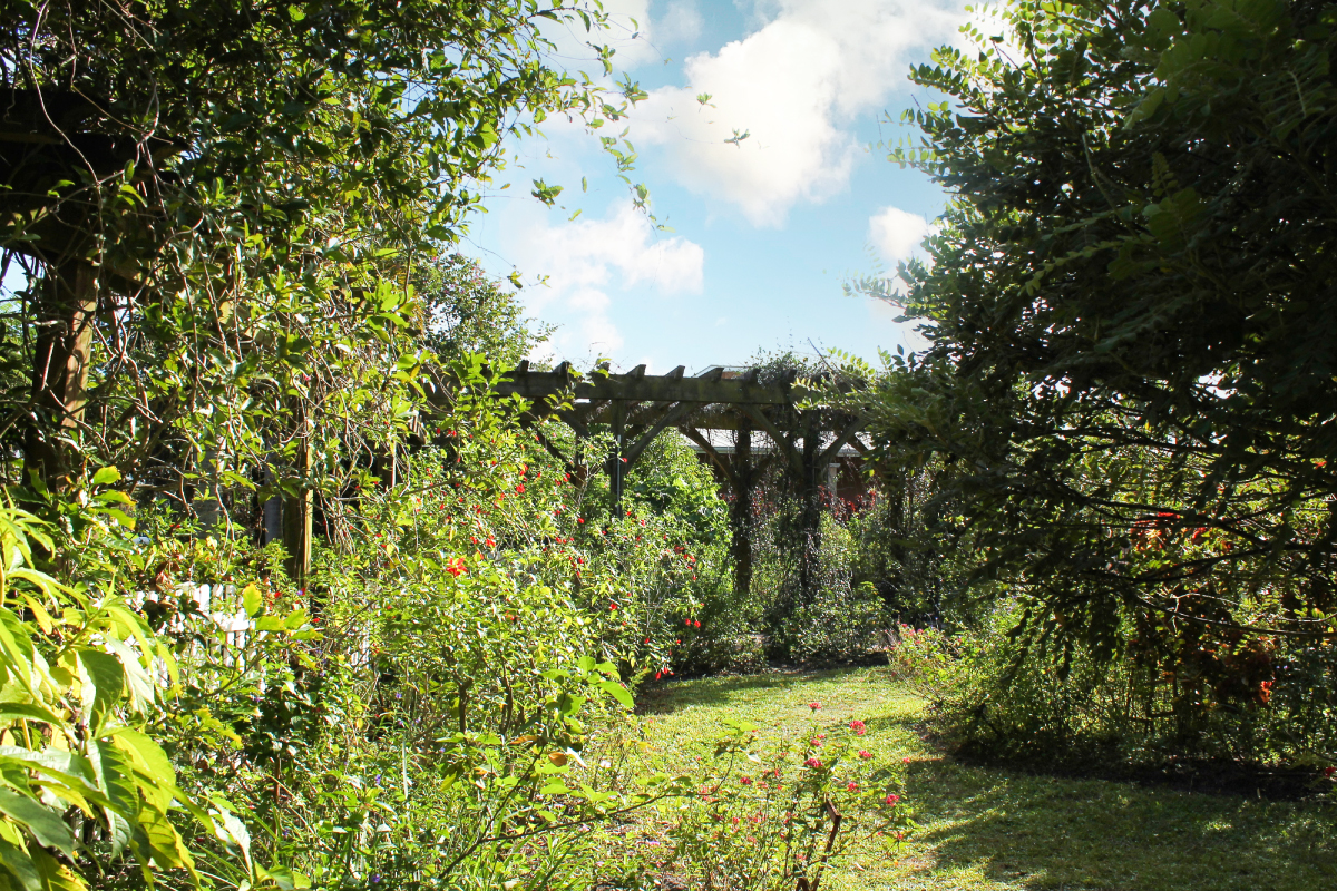ButterflyGarden1