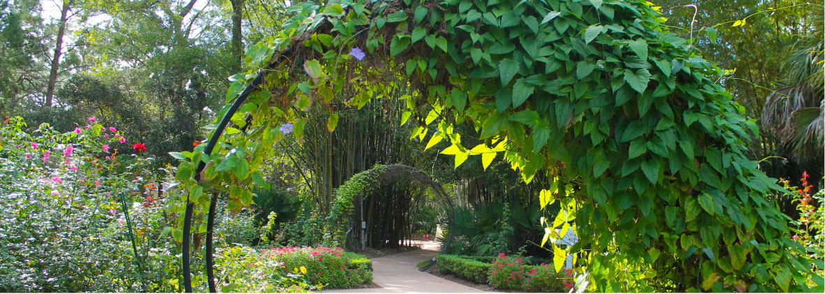 Psl Botan Gdns