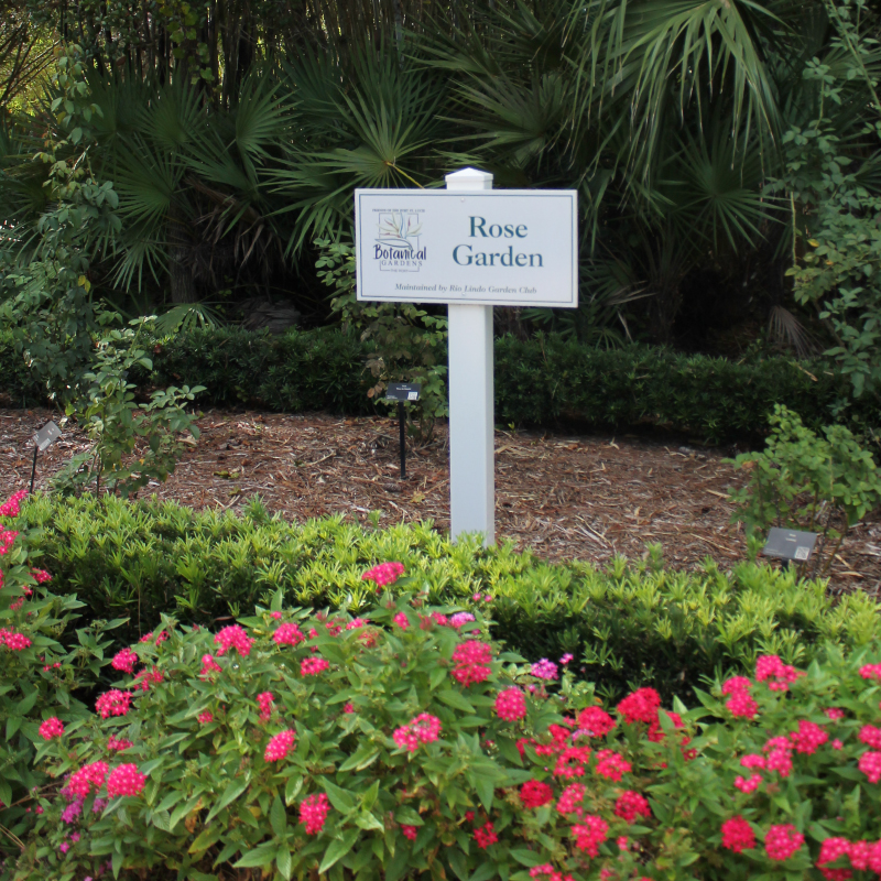 RoseGarden2