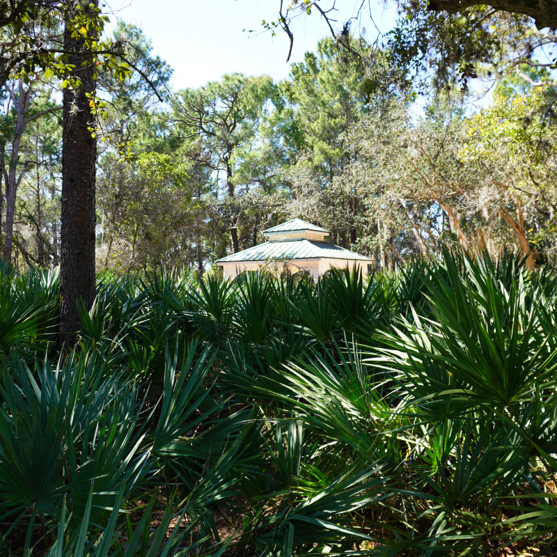 SecretGarden1