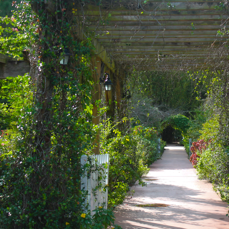 General Garden