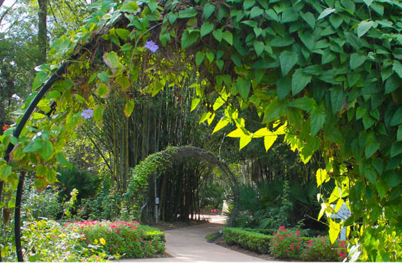 Psl Botan Gdns